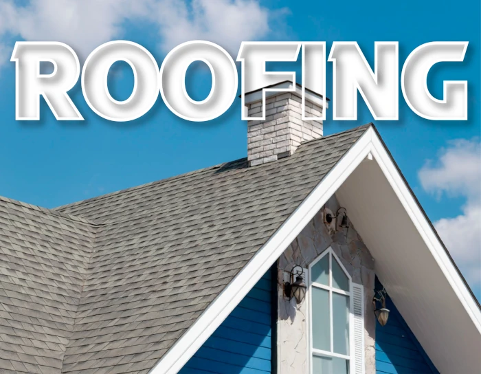 Strong Roofs. Reliable Protection.
